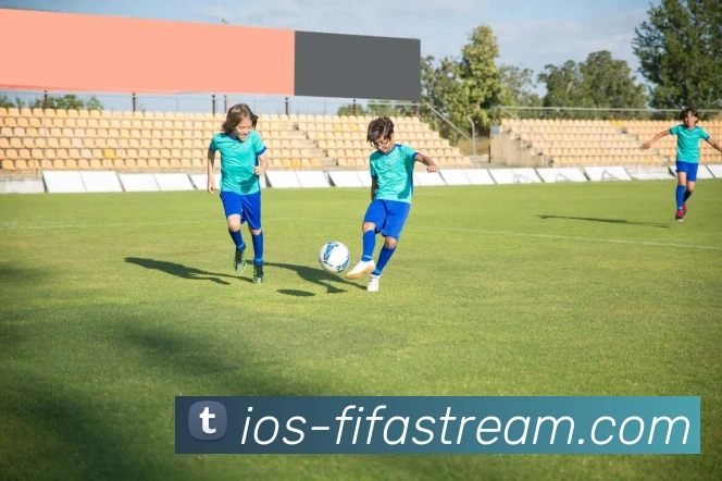 世界杯手机直播网站服务体系